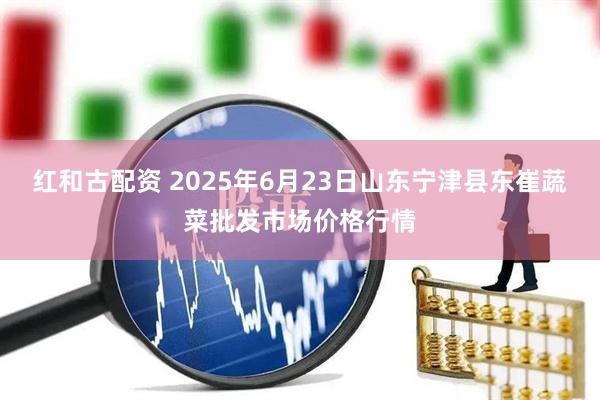 红和古配资 2025年6月23日山东宁津县东崔蔬菜批发市场价格行情
