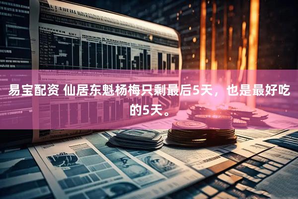 易宝配资 仙居东魁杨梅只剩最后5天，也是最好吃的5天。