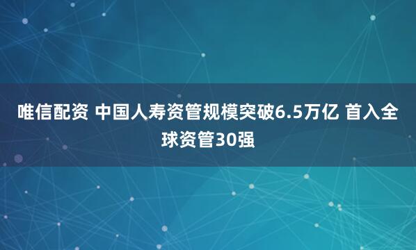 唯信配资 中国人寿资管规模突破6.5万亿 首入全球资管30强